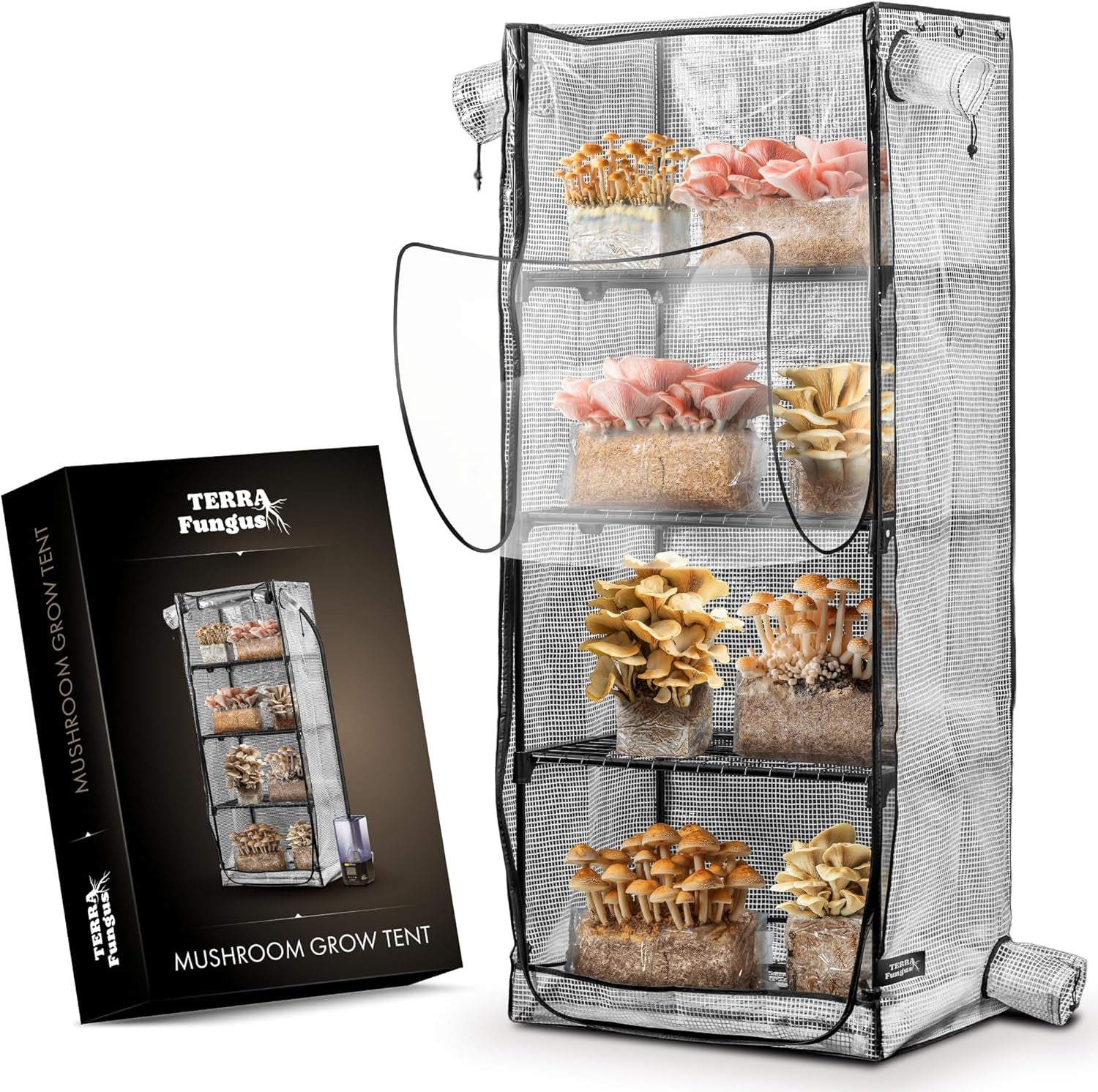 Mycology Supplies