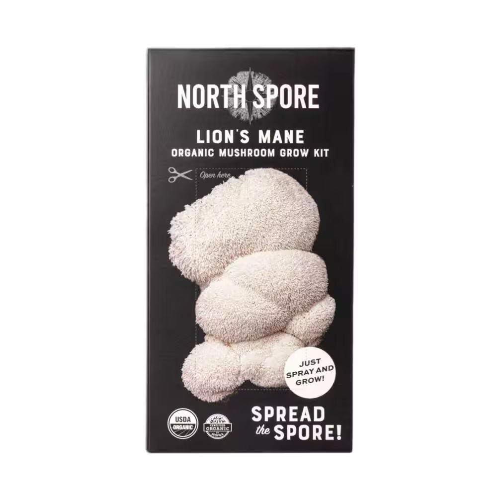 Organic Lion'S Mane Mushroom Spray and Grow