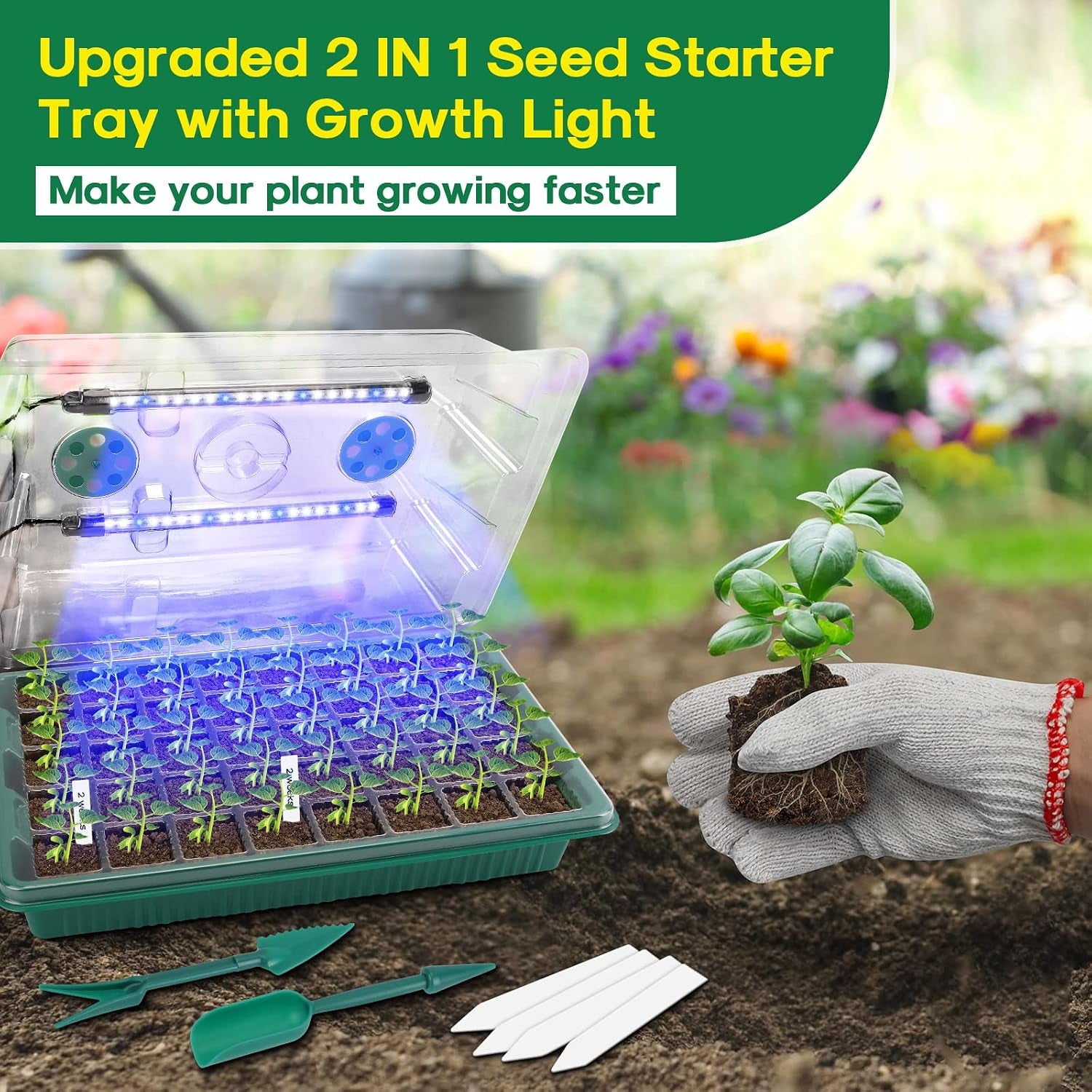 Seed Starter Tray with Grow Light,2 Pack 80 Cells Seedling Tray Kit with Humidity Dome/Indoor Plant Starter Kit, Adjustable Brightness Plant Germination Trays-Green