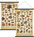 2 Pcs Vintage Mushroom Flower Butterfly Tree Poster Fungus Rustic Wall Hanging Illustrative Reference Chart Poster for Bedroom Living Room, 15.7 X 23.6 Inch(Vintage Mushroom)