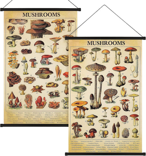 2 Pcs Vintage Mushroom Flower Butterfly Tree Poster Fungus Rustic Wall Hanging Illustrative Reference Chart Poster for Bedroom Living Room, 15.7 X 23.6 Inch(Vintage Mushroom)