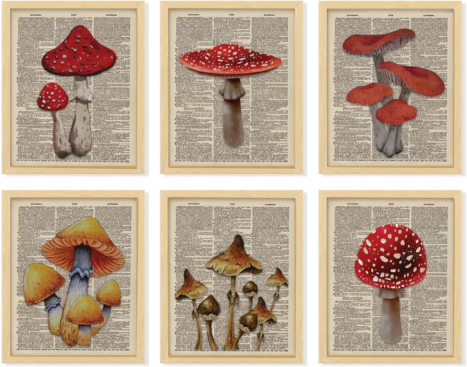 Vintage Mushroom Poster - Mushroom Wall Decor, Retro Mushrooms Wall Art Prints, Cottagecore Room Decor Aesthetic, Earthy Dictionary Mushrooms Picture for Home Bedroom (8X10 UNFRAMED)