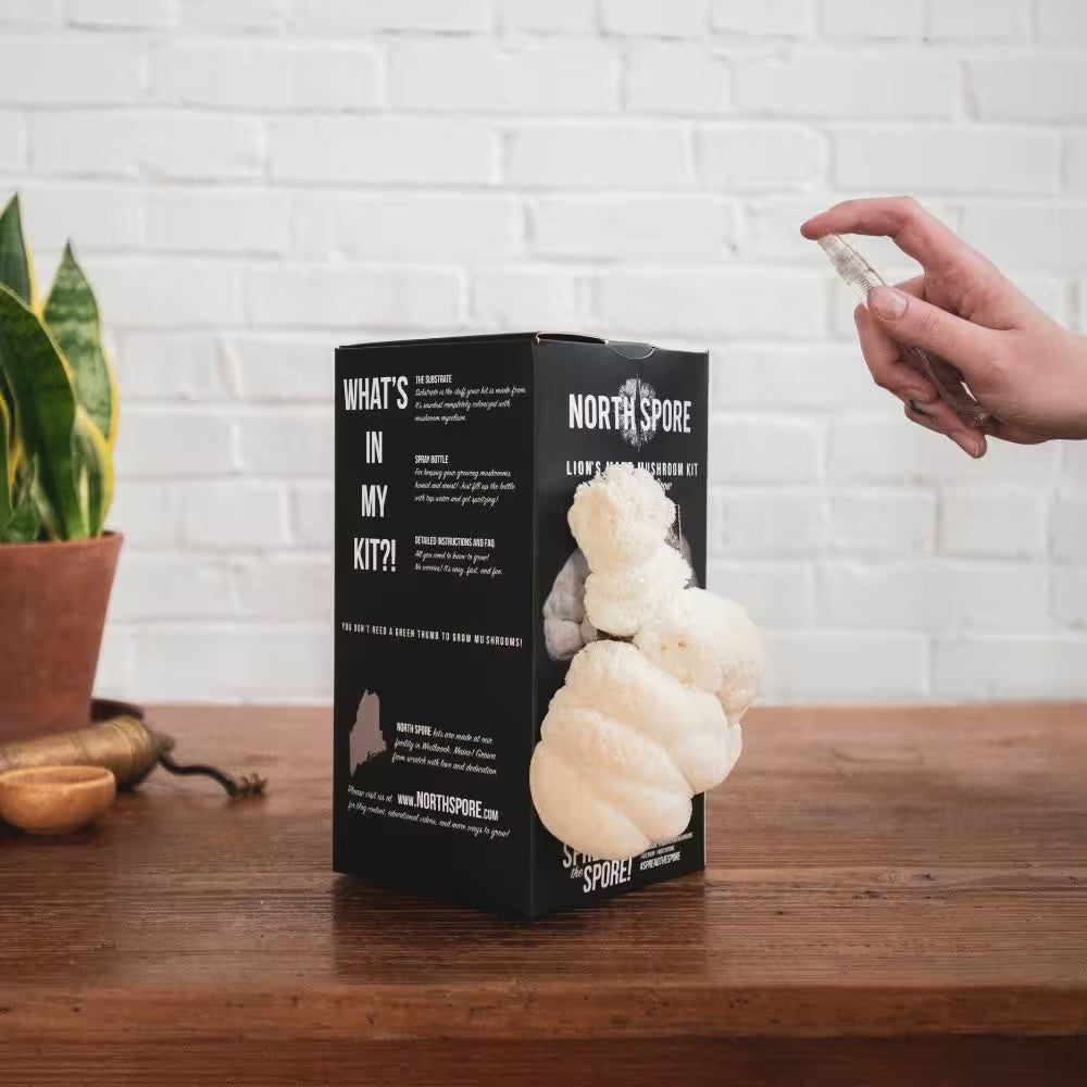 Organic Lion'S Mane Mushroom Spray and Grow