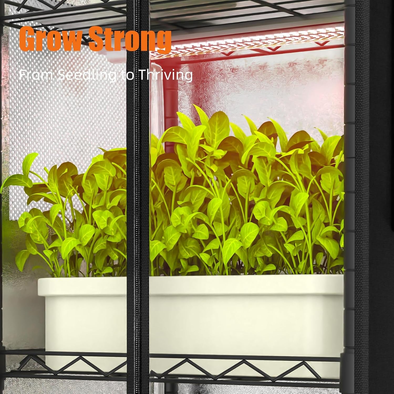 Indoor Greenhouse with Grow Light, 15.7" L×11.8" W×62.3" H with 48W