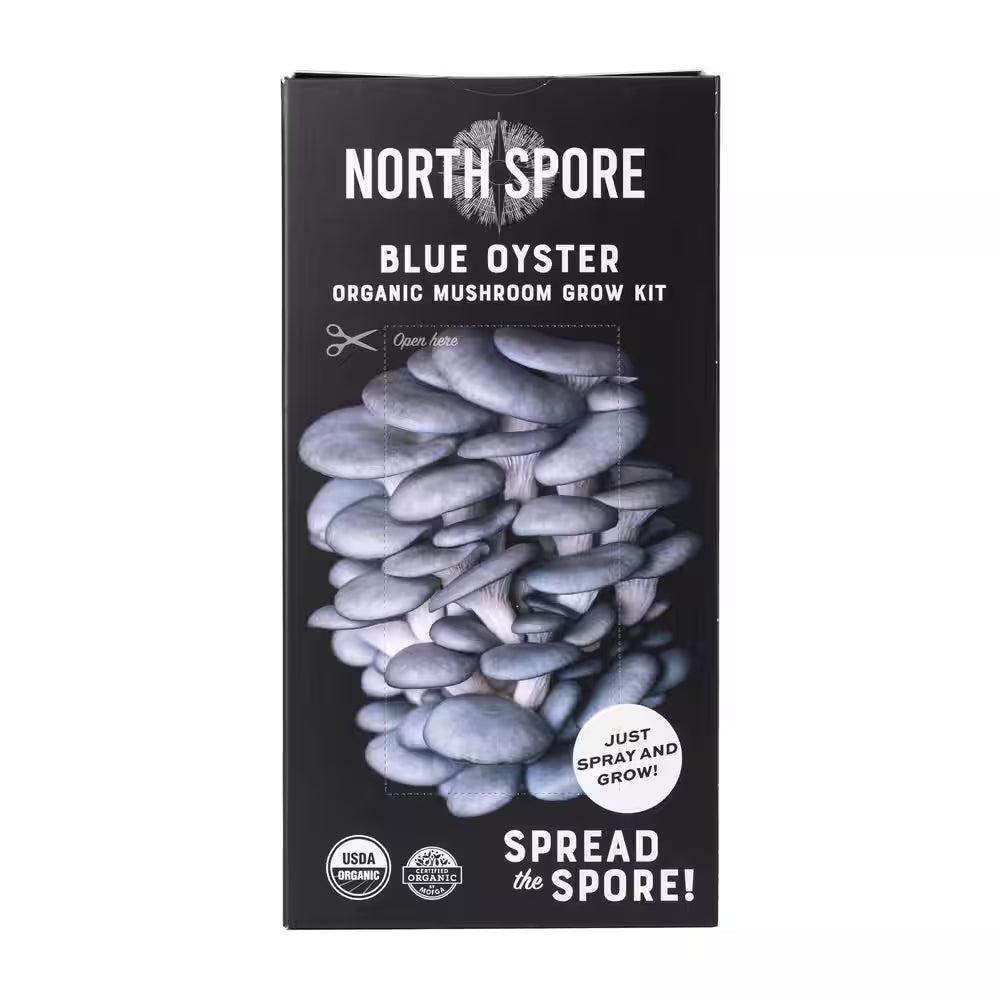 Organic Blue Oyster Mushroom Spray & Grow Kit