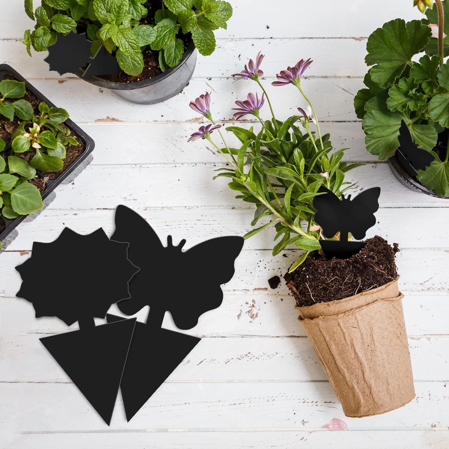 96PCS Fruit Fly Traps Sticky Traps Fungus Gnat Traps Insect Bug Traps for Indoor Outdoor Kitchen Plants Whitefly Mosquitos Fungus Gnats Flying Insects, JPM0161