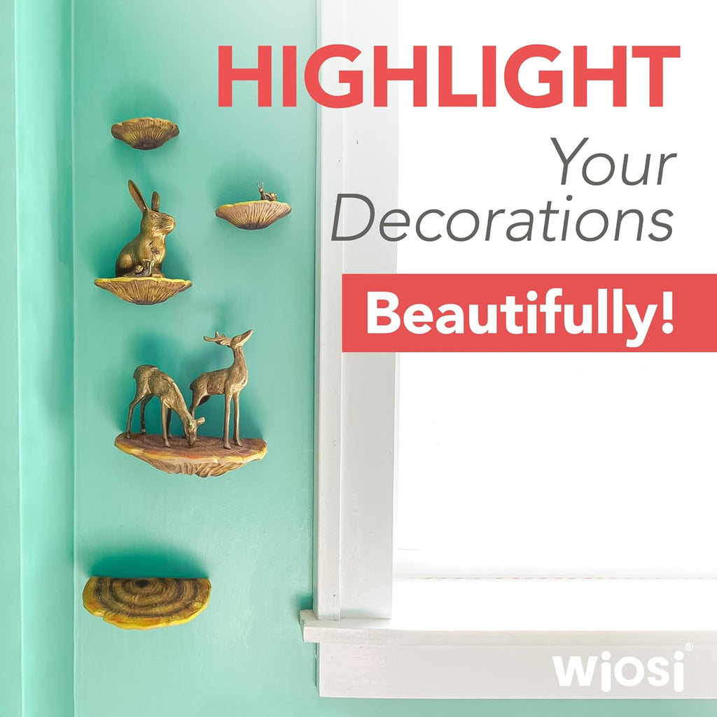 5-Piece Turkey Gill Mushroom Floating Shelves for Decorating Wall | Shelves for Room Wall | Perfect Floating Shelves for Room Decor | Leopard Gecko Tank Accessories