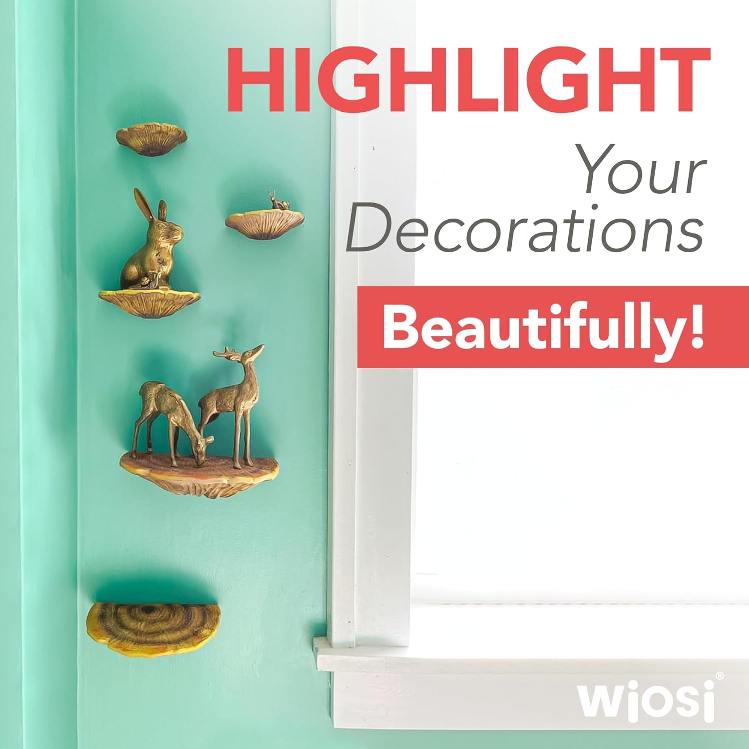 5-Piece Turkey Gill Mushroom Floating Shelves for Decorating Wall | Shelves for Room Wall | Perfect Floating Shelves for Room Decor | Leopard Gecko Tank Accessories