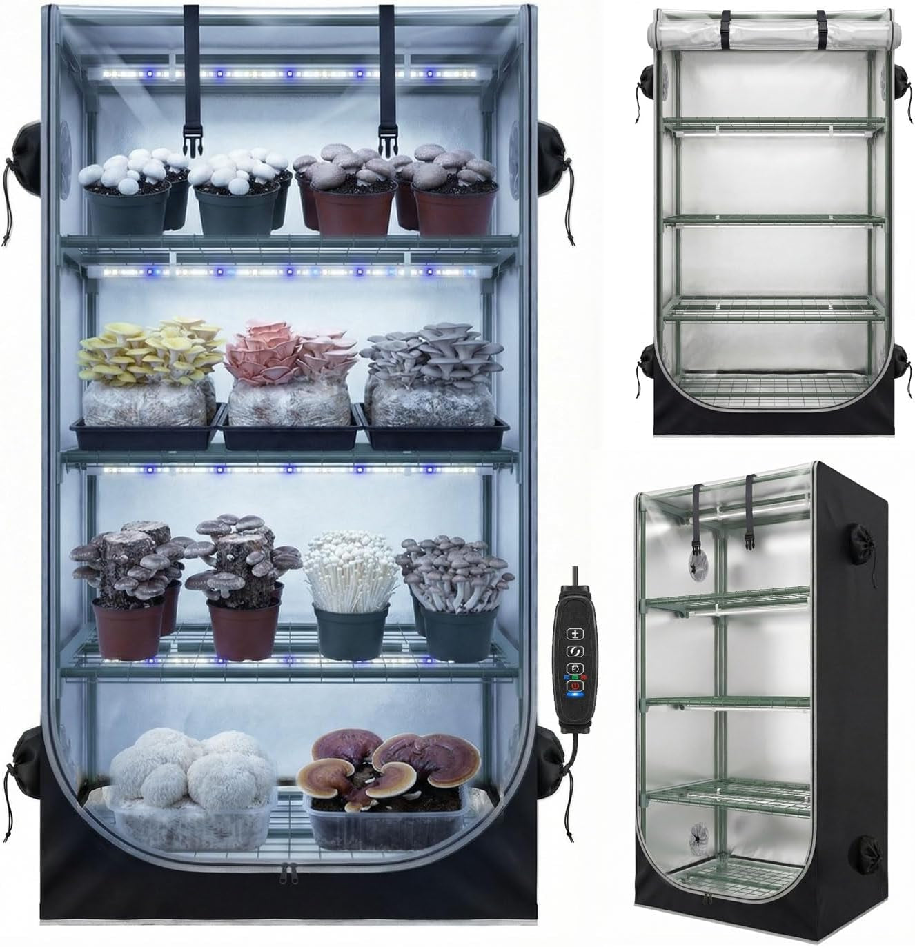 Mushroom Grow Tent Kit with Mushroom-Optimized Grow Lights & Timer | 27.5"W X 20"D X 65"H, Indoor Martha Tent with Oxford Fabric Cover, Small Greenhouse, 4" Vent Ports for Inline Fan, Humidifier