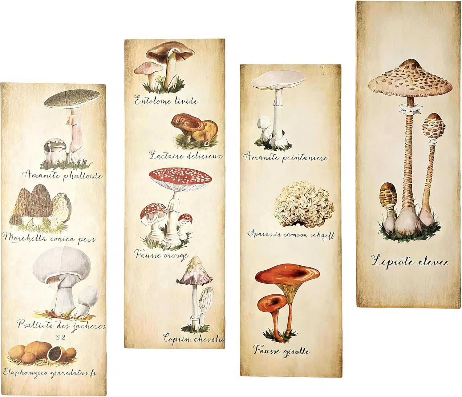 4 Pack Mushroom Wall Posters & Prints Rustic Vintage Aesthetic Mushroom Decor & Decorations for Kitchen, Bathroom, Living Room, Bedroom & Office