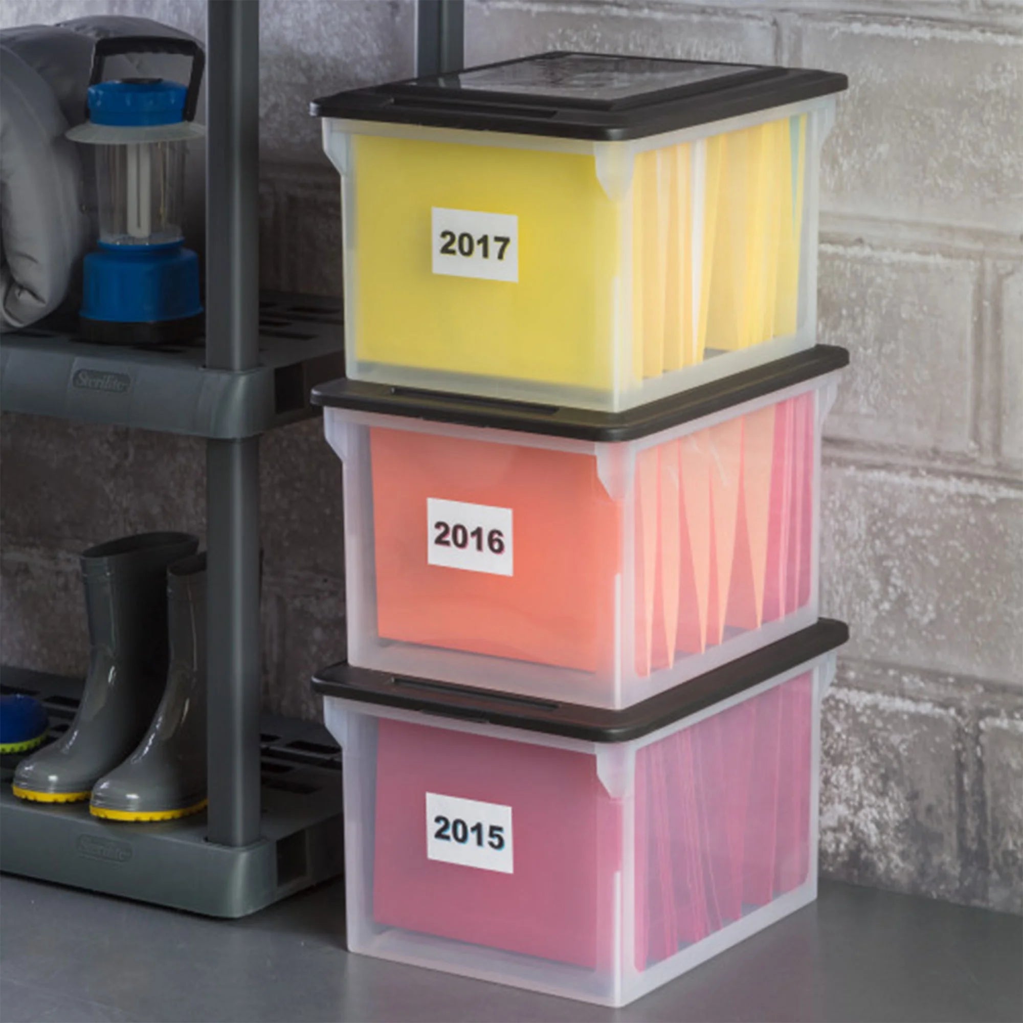 File Box - Clear Plastic Storage Bin - 8 Pack