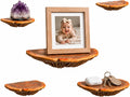 5-Piece Turkey Gill Mushroom Floating Shelves for Decorating Wall | Shelves for Room Wall | Perfect Floating Shelves for Room Decor | Leopard Gecko Tank Accessories